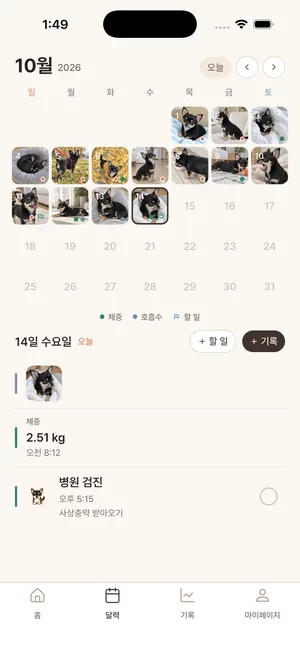 도트몽 앱의 달력 화면. 날짜 칸 여럿이 강아지 사진으로 채워져 있고 그 위에 색 점과 깃발이 표시되어 있으며, 아래에 고른 날의 사진과 숫자 기록, 할 일이 목록으로 나와 있다
